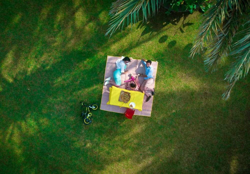 picnic